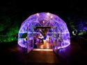 DOME_OpenDoor_Purple
